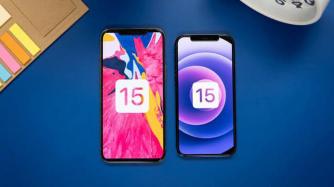 apple-vo-tinh-xac-nhan-iphone-13-se-co-mot-tinh-nang-bao-ngau-1623249796